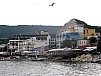 P5240642.jpg