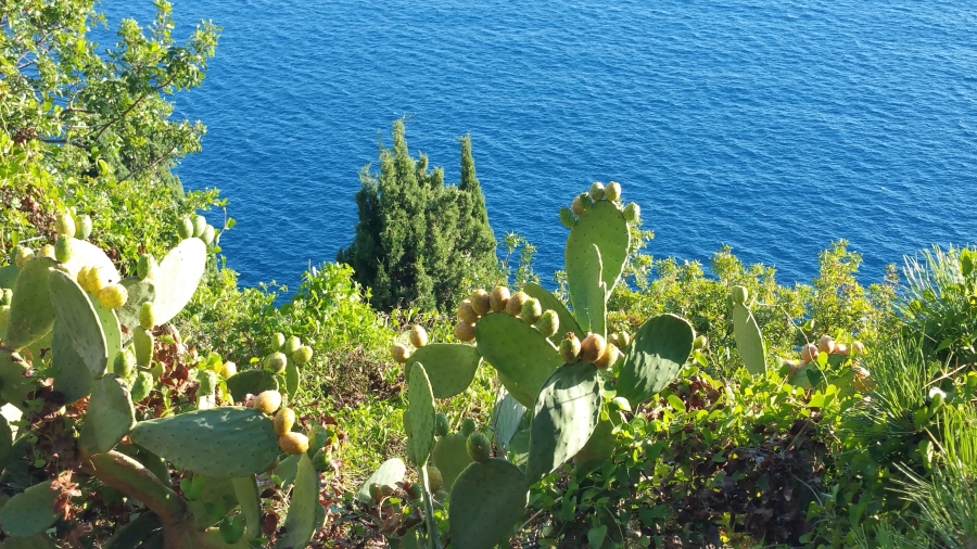 20160815_183221.jpg