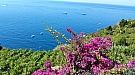 20160815_112433.jpg