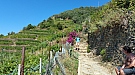 20160815_112546.jpg