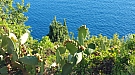 20160815_183221.jpg