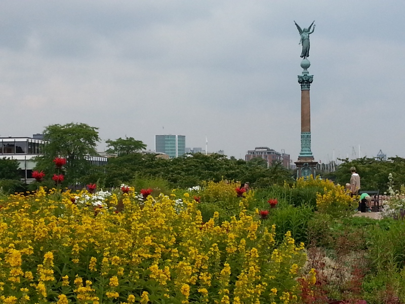 20140628_132206.jpg