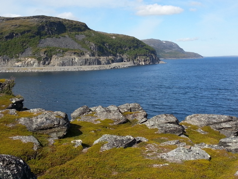 20140630_155039.jpg