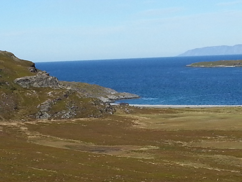 20140630_162603.jpg