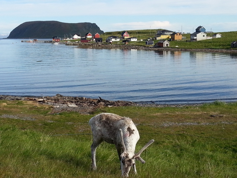 20140630_165842.jpg