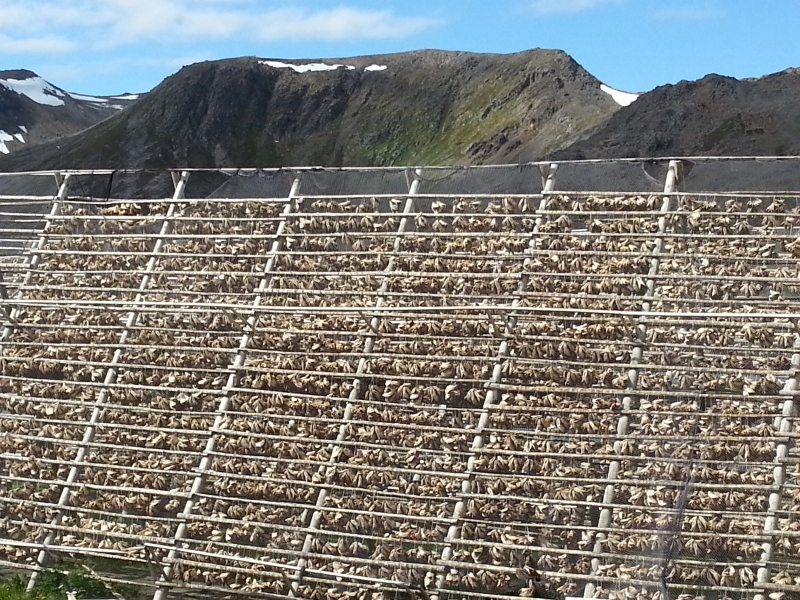 20140701_125555.jpg