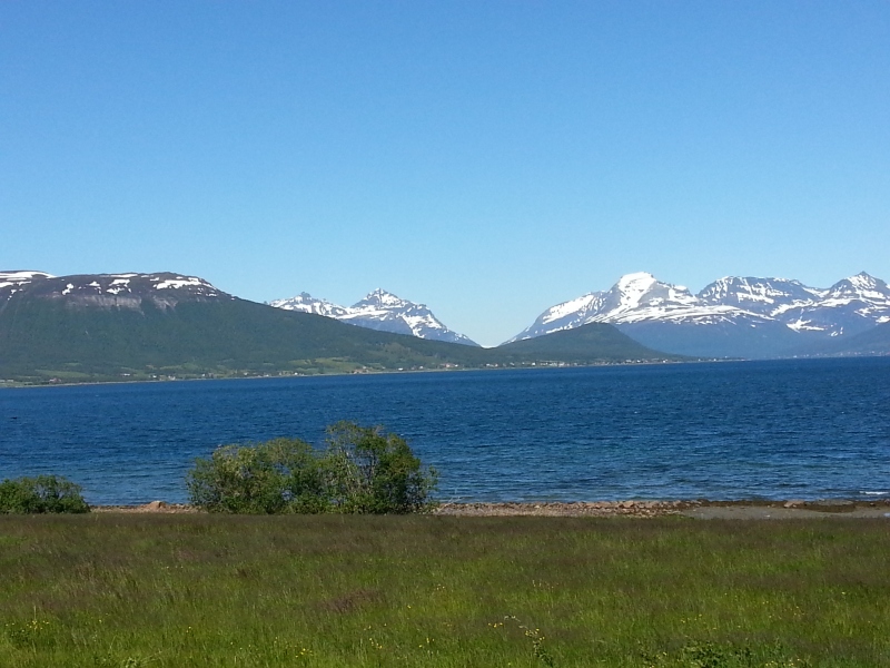 20140702_122827.jpg