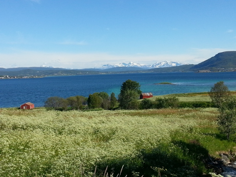 20140702_170337.jpg