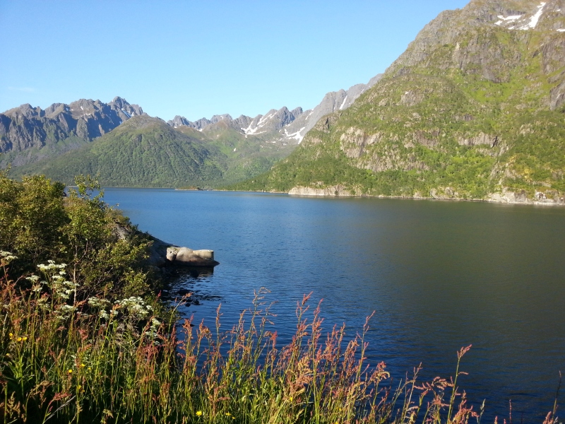 20140702_191201.jpg