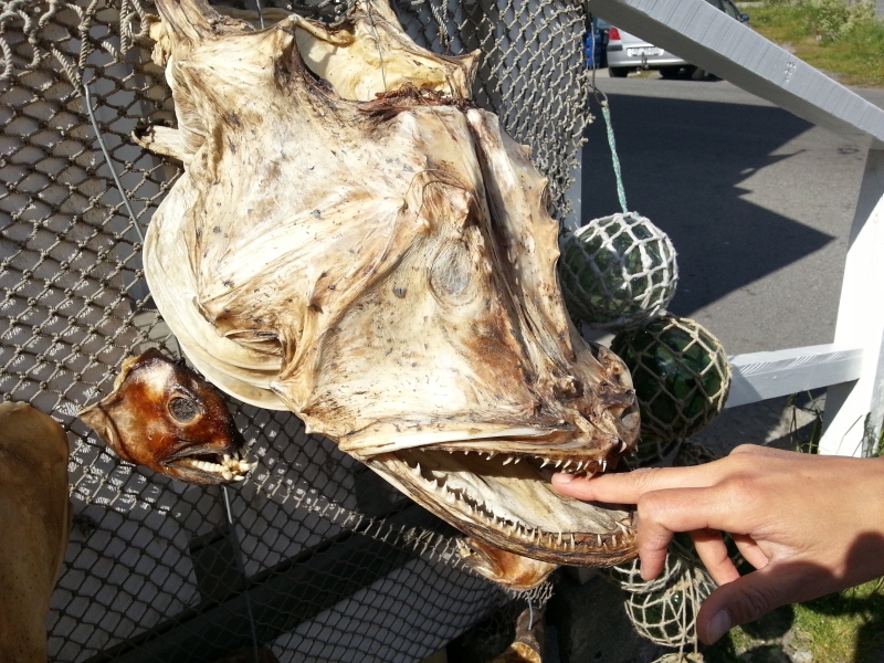 20140703_103033.jpg
