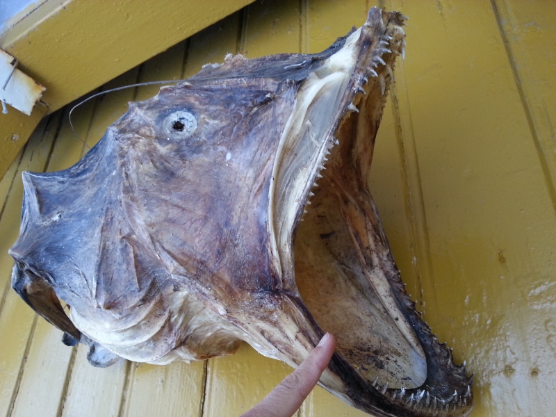 20140703_171448.jpg