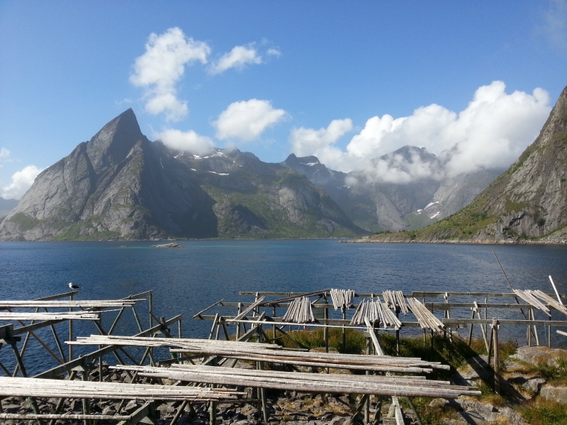 20140704_150456.jpg