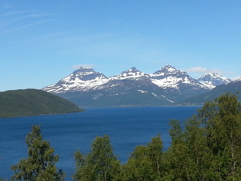 20140705_112028.jpg