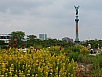 20140628_132206.jpg
