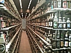 20140629_155140.jpg