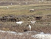 20140630_141513.jpg