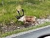 20140630_151640.jpg