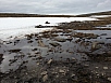 20140701_163052.jpg