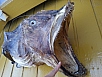 20140703_171448.jpg