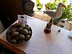 20140704_143934.jpg