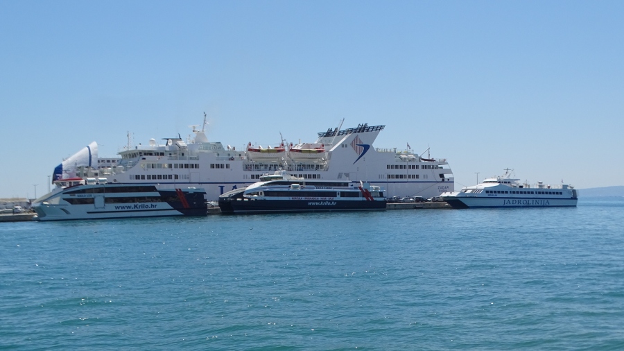 DSC00663.jpg