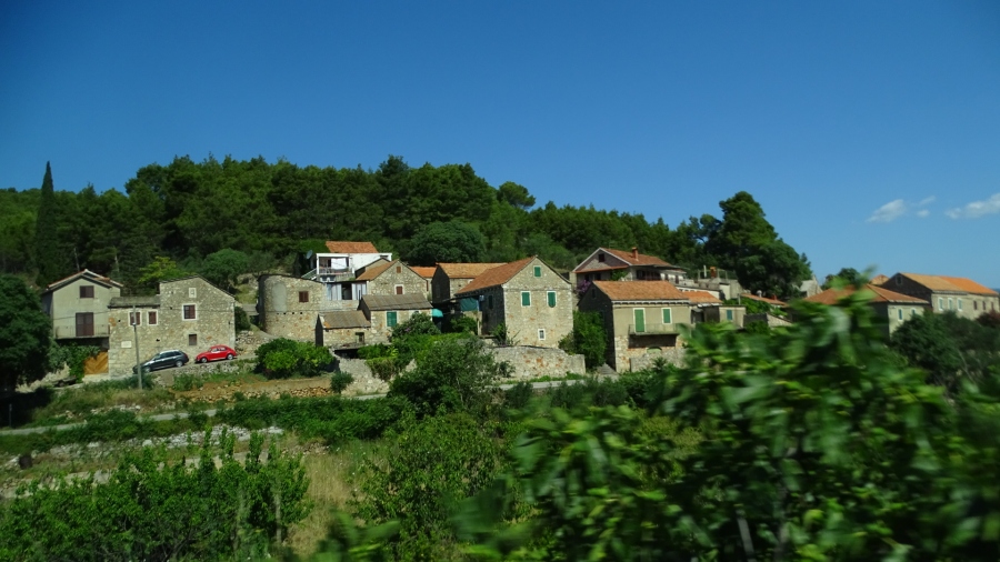 DSC01180.jpg