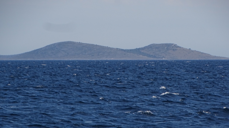 DSC02193.jpg