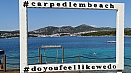 DSC01440.jpg