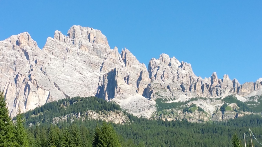 20170716_091308.jpg