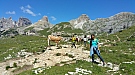 20170716_124336.jpg