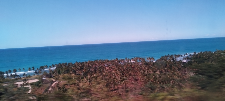 IMG_20250317_160428.jpg