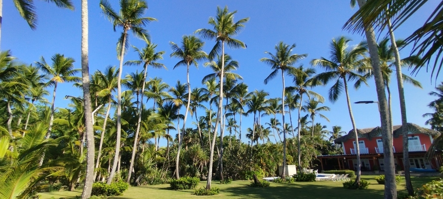 IMG_20250317_165357.jpg