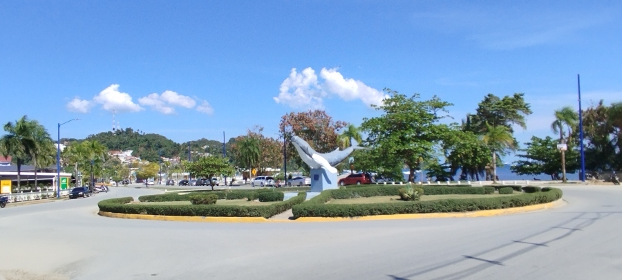 IMG_20250318_151825.jpg