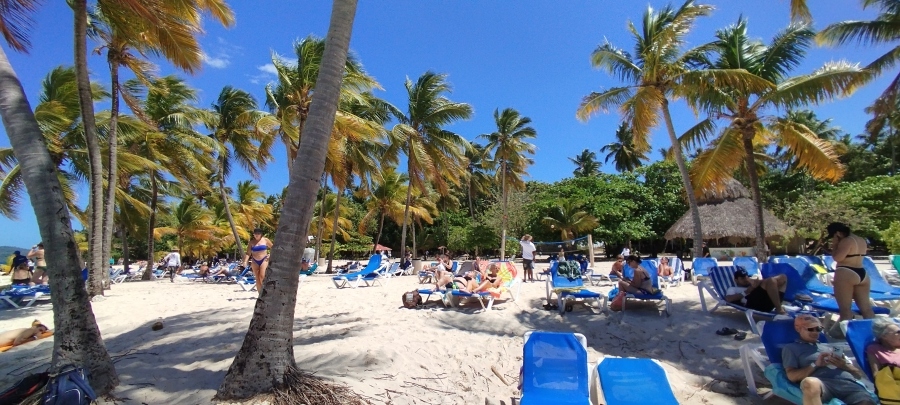 IMG_20250319_133316.jpg
