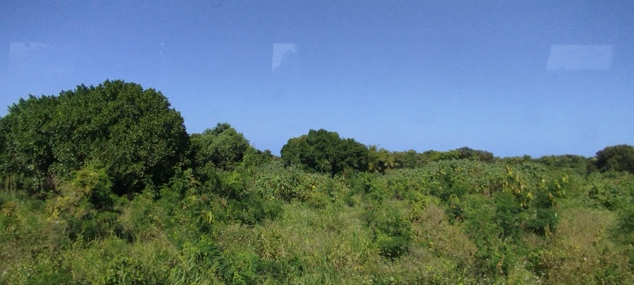 IMG_20250320_150510.jpg