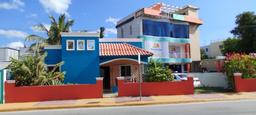 IMG_20250321_154141.jpg