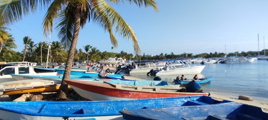 IMG_20250321_173133.jpg