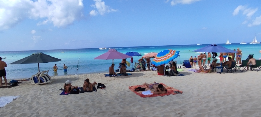 IMG_20250322_101916.jpg