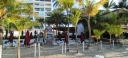 IMG_20250316_074450.jpg