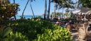IMG_20250317_164338.jpg