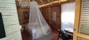 IMG_20250318_082737.jpg