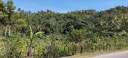 IMG_20250318_143429.jpg