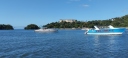 IMG_20250319_095039.jpg