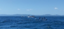 IMG_20250319_112547.jpg