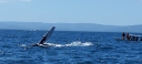 IMG_20250319_113834.jpg