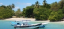 IMG_20250319_121645.jpg