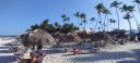 IMG_20250320_164251.jpg
