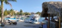 IMG_20250321_172513.jpg