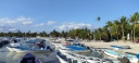 IMG_20250321_172602.jpg