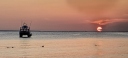 IMG_20250321_184412.jpg